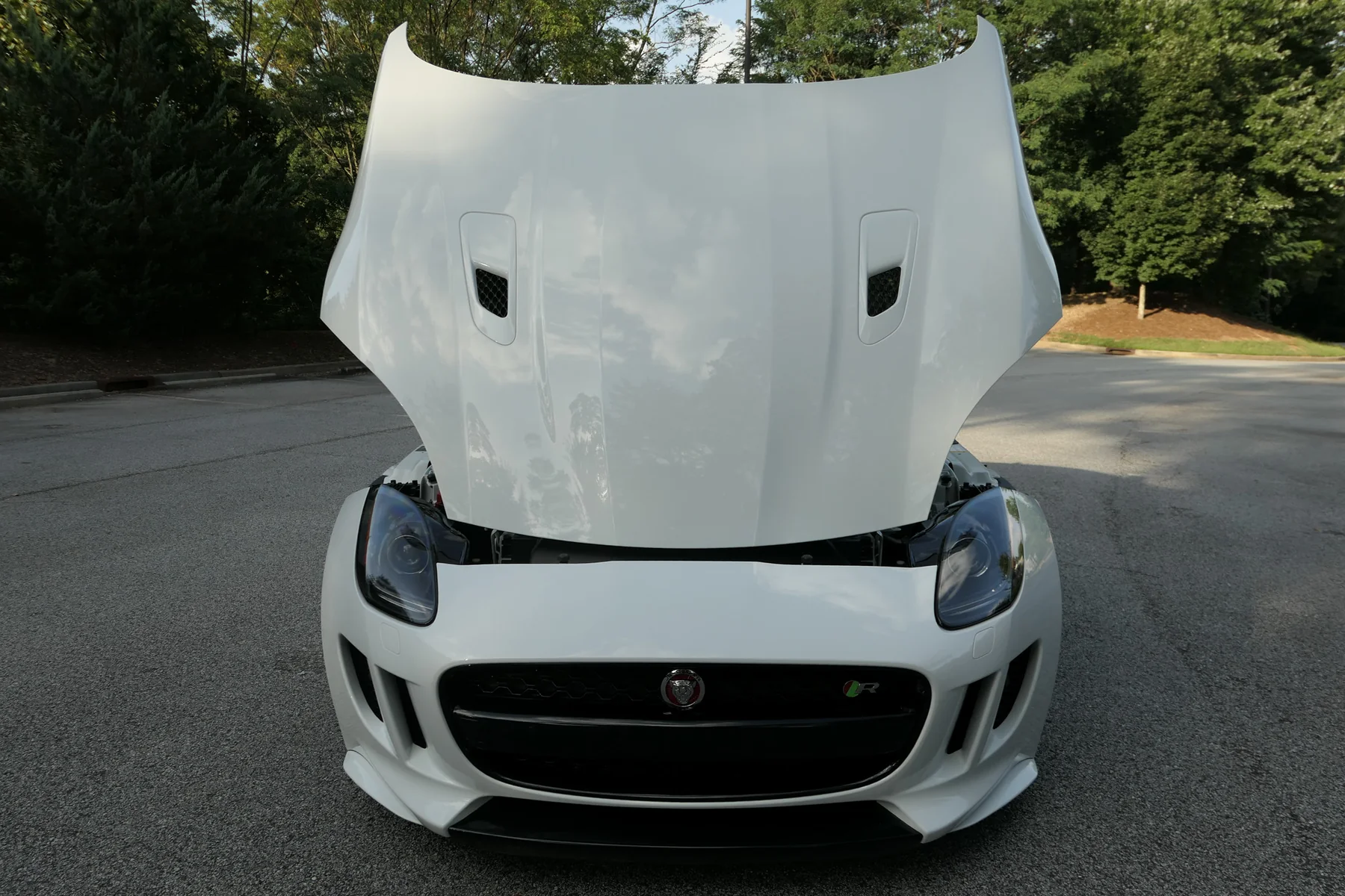 Front view with hood raised