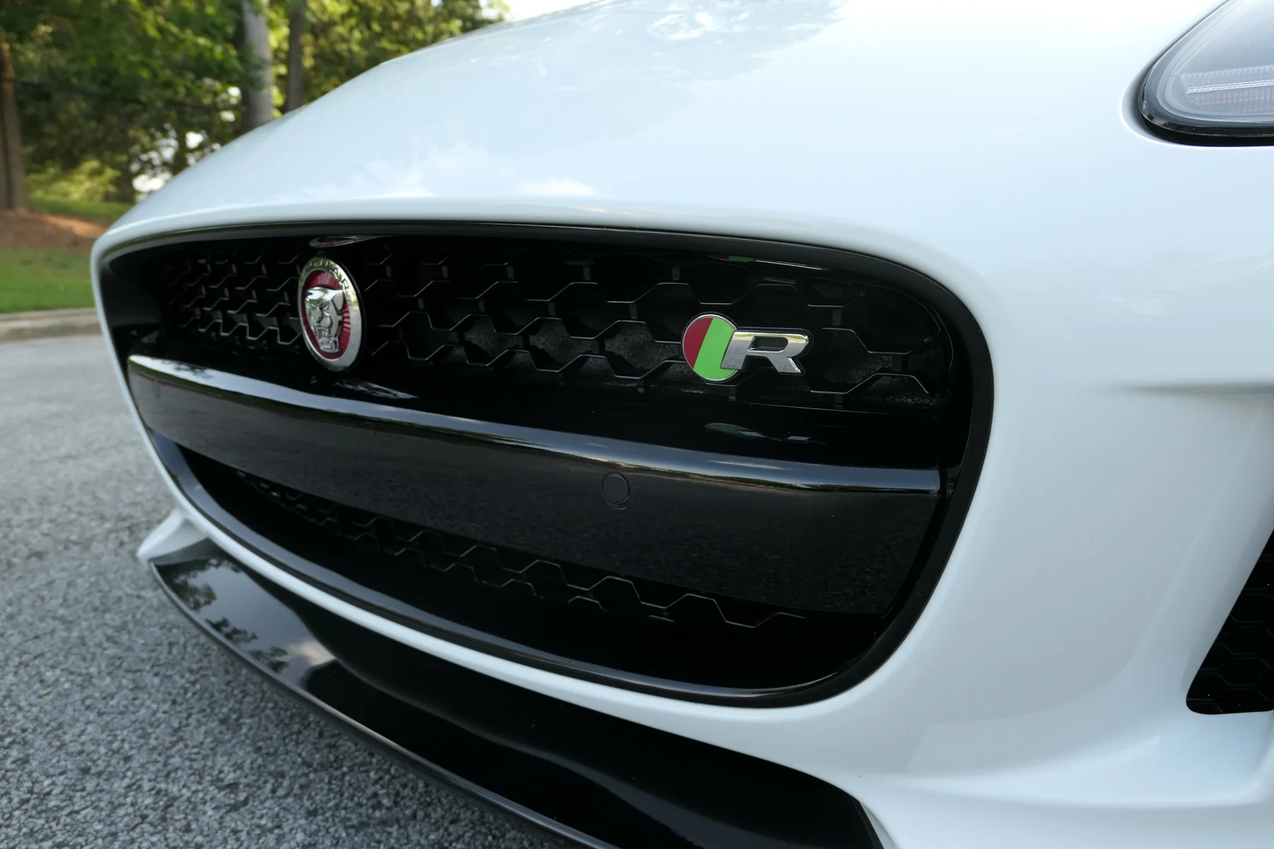 Front grille and R badge detail